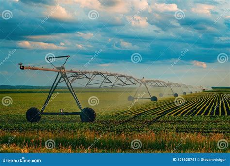 Soybean Crop Seedling Field Irrigation, Agricultural Sprinklers ...