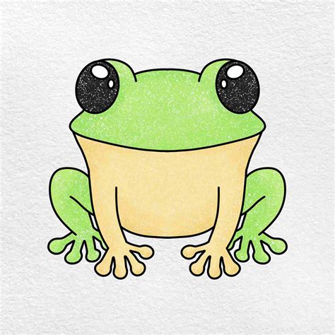 Image result for How to Draw Simple Frog