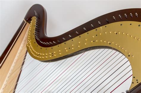 Harp musical instrument | The Enchanted Harp