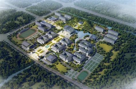 2022洛阳市东明外语实验学校、新学道高中录取分数线(2023参考)