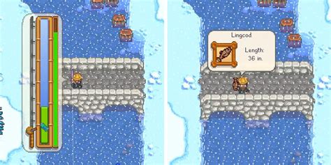 How To Find (& Catch) Lingcod In Stardew Valley
