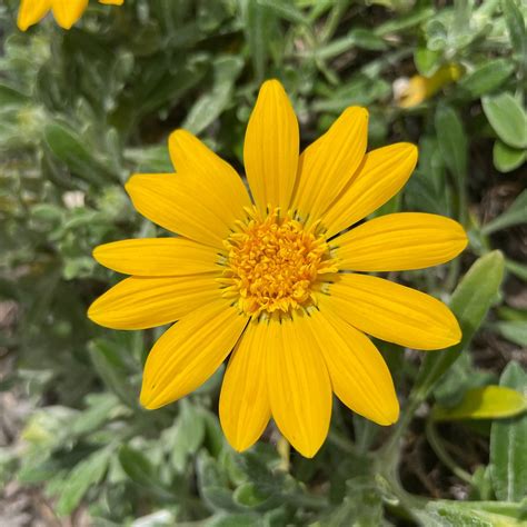 UTE ON A POLE (2024) All You Need to Know BEFORE You Go (with Photos ...