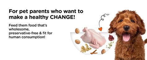 Buy Henlo Chicken and Egg Baked Dry Food for Adult Dogs...