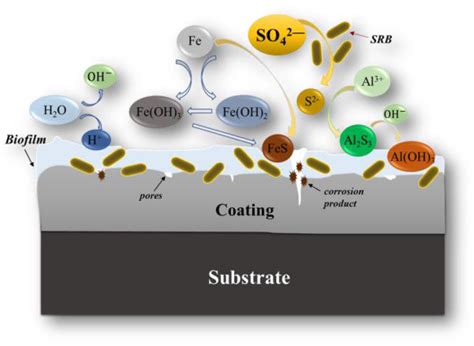Mechanism Of Corrosion