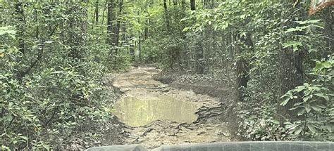 Brown Mountain OHV Trail, North Carolina - 143 Reviews, Map | AllTrails