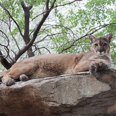 THE 10 BEST Places to Visit in Maricopa (2025) - Must-See Attractions