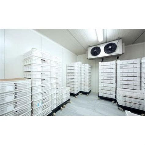Ripening chamber and gas-Ethylene - Ethylene Ripening Chamber ...