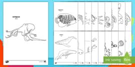 Narwhal Colouring Pages Twinkl Parents Sea