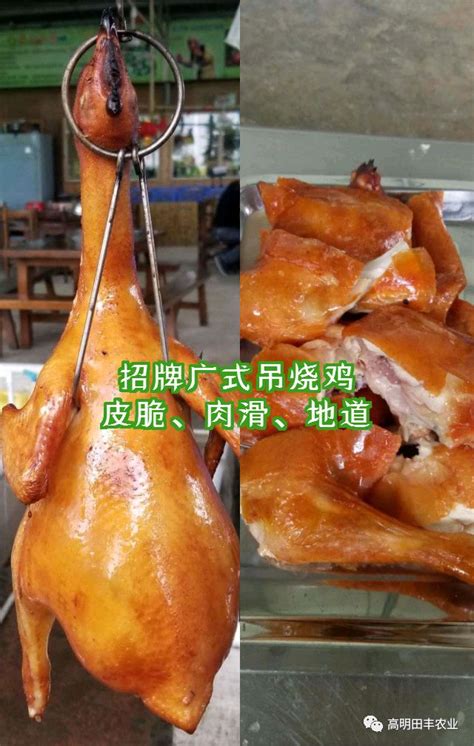 广东脆皮吊烧鸡怎么做_广东脆皮吊烧鸡的做法_豆果美食
