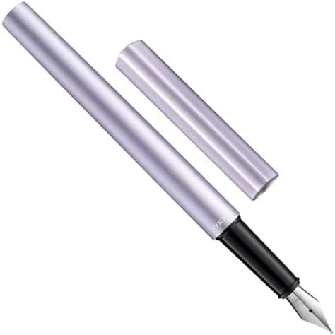 Pelikan Ineo P6 Lavender Scent Fountain Pen (M) 1051285 : Amazon.in ...