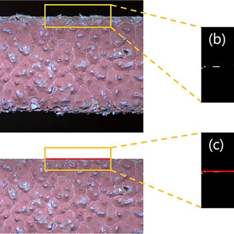 Image result for Catboost Visually Explained