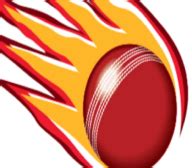 QUN-W vs NSW-W scorecard updated, Final, Women’s National Cricket ...