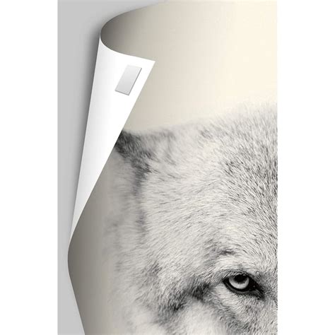 Trends International Disney Pixar Cars 2 - Triptych India | Ubuy