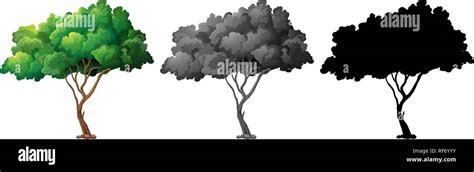 Image result for Tree for InDesign