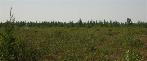 Minden City Tourism (2023): Best of Minden City, MI - Tripadvisor