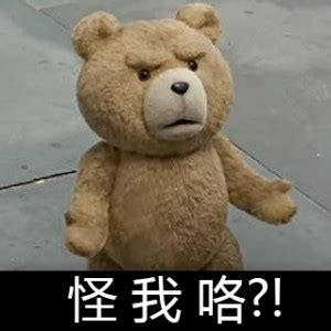 泰迪熊表情包-想打架是不是 - DIY斗图表情 - diydoutu.com