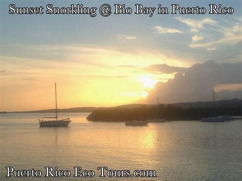 PUERTO RICO ECO TOURS KAYAK BIO BAY (2026) All You Need to Know BEFORE ...