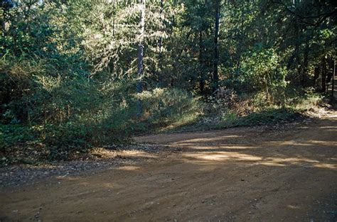 Willow Creek Trail - Hiking and Backpacking In The Los Padres National ...