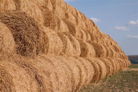 Haystack 的图像结果