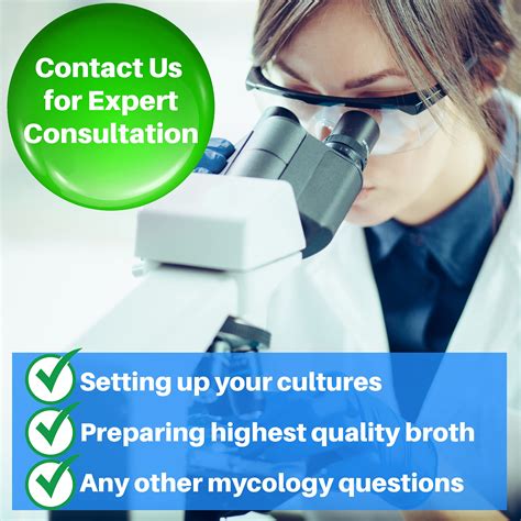 Mushroom Liquid Culture Premix 100 Grams - Evviva Sciences – Make ...