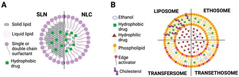 Potential of the Nano-Encapsulation of Antioxidant Molecules in Wound ...