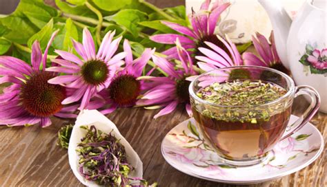 20 Natural Remedies for Treating Bed Sores at Home - lifeberrys.com