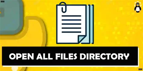 How to Open Files On Python 的图像结果