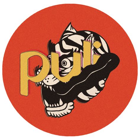 PULI SPICES