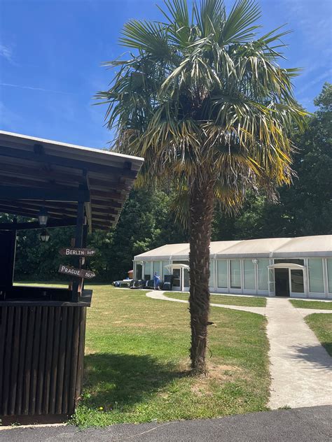 CHATEAU DE GRANDE ROMAINE (Lesigny) - Lodge Reviews & Photos - Tripadvisor