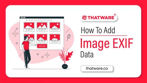 Image result for Exif Tutorial