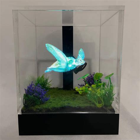 3D Hologram Fish Tank | The Green Head