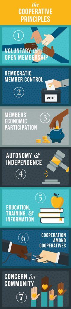 Co-operative Principles and Values 的图像结果