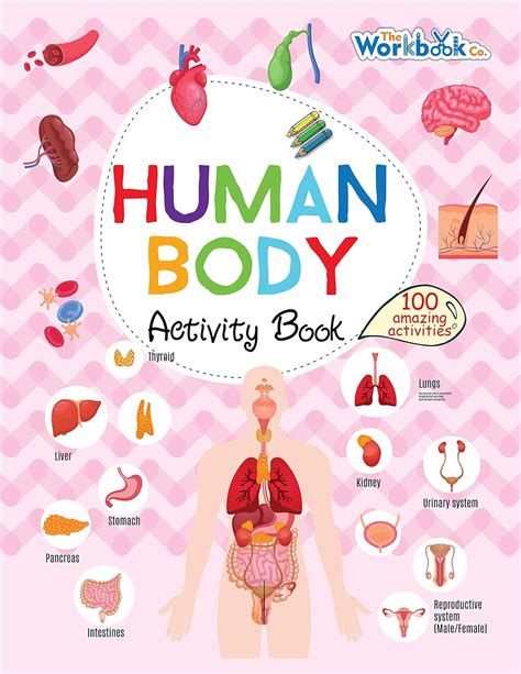 Buy Pegasus Human Body Activity Book Online at Best Price in India ...