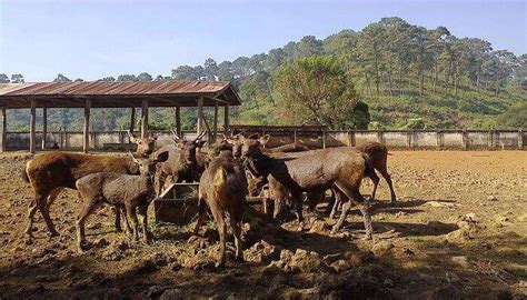 4 Best Zoos In North East That Wil Leave One In Awe Of Nature In 2026!