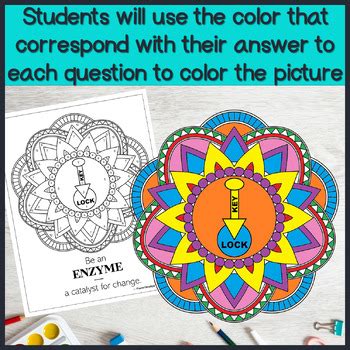 Enzyme Activity Process 的图像结果