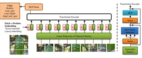 Vision Transformer 的图像结果