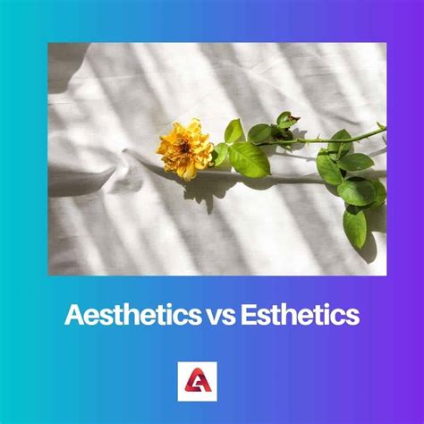Aesthetics vs Esthetics: Difference and Comparison