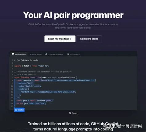Copilotb 的图像结果