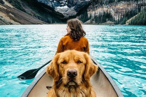 10 Pet-friendly Staycations in India for the Fur-fect Vacay Goals