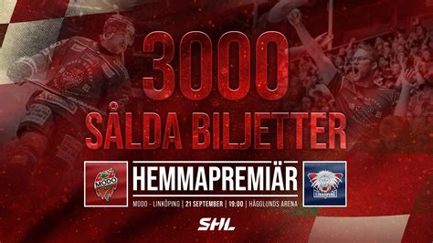 Image result for Modo Hockey Arena