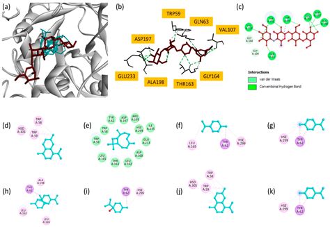 Chemical Constituents, In Silico Studies and In Vitro Antioxidant ...