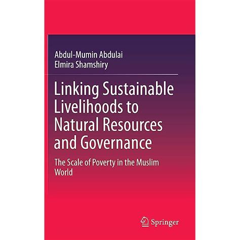 Buy Linking Sustainable Livelihoods to Natural Resources and Governance ...