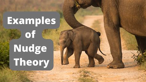 Nudge Theory Examples 的图像结果