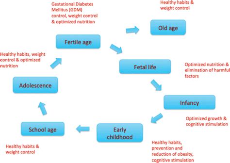 Who Life Course Approach 的图像结果
