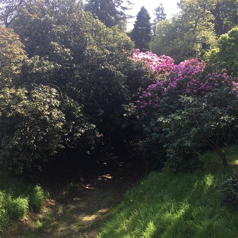 OAKLAND HOLIDAY PARK (Brewood) - Campground Reviews & Photos - Tripadvisor