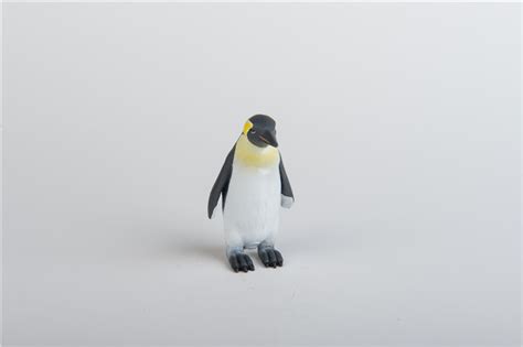 企鵝造型 衣服-拍賣/評價與PTT熱推商品-2021年5月|飛比價格