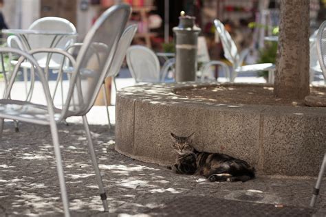 Les lunettes rouges - Open Eyes