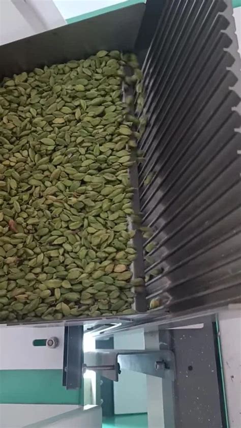 Cardamom Sorting Machines - TINY Mini Cardamom Colour Sorting Machine ...