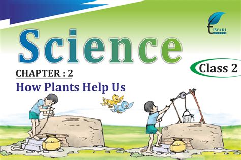 Image result for Class 2 Science Plant