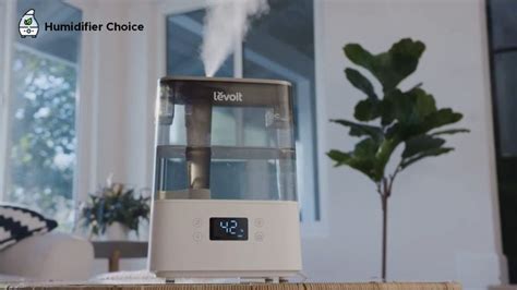 Image result for How to Use a Humidifier